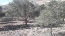 zottaliva home slide_10