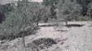 zottaliva home slide_11